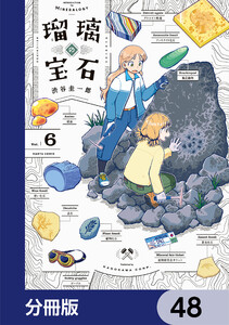 瑠璃の宝石【分冊版】 48 電子書籍版