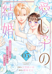 愛し子の結婚～偽装契約なのにエリート騎士様が甘すぎる～【電子単行本版/特典おまけ付き】 (3)