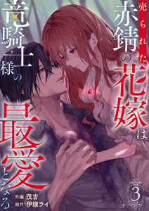 売られた赤錆の花嫁は竜騎士様の最愛となる【電子単行本版/特典おまけ付き】 (3)