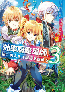 効率厨魔導師、第二の人生で魔導を極める3 電子書籍版