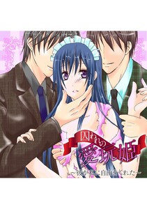 囚われの愛玩姫 ~彼が私に自由をくれた~