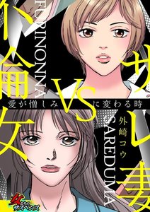サレ妻VS不倫女~愛が憎しみに変わる時~