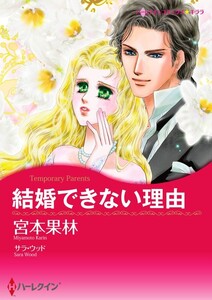 結婚できない理由 (分冊版)9話 電子書籍版