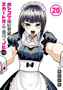 ポンコツ風紀委員とスカート丈が不適切なJKの話 (20)