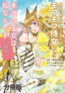 隣国に輿入れした王女付きモフモフ侍女ですが、本当の王女は私なんです 分冊版 (3)～立場と声を奪われましたが、命の危機に晒されているので傍観します～ 電子書籍版