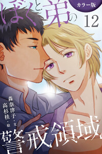 [カラー版]ぼくと弟の警戒領域 12巻〈エロティックな支配〉 電子書籍版