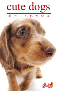 cute dogs28 ダックスフンド 電子書籍版