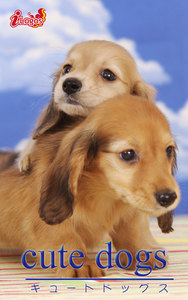 cute dogs29 ダックスフンド 電子書籍版
