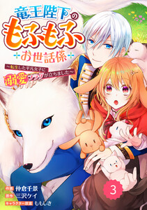 Berry’sFantasy竜王陛下のもふもふお世話係~転生した平凡女子に溺愛フラグが立ちました~3巻 電子書籍版