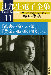 辻邦生電子全集 11巻 技巧作品(サスペンス・ミステリー) 『眞晝の海への旅』『黄金の時刻の滴り』ほか