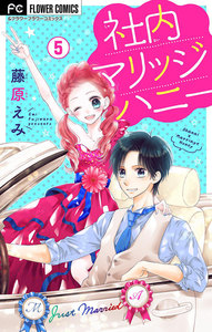 社内マリッジハニー【マイクロ】 (5) 電子書籍版