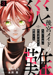 後宮メイドの災難～人使いの荒い宮廷書記官と推理する～(3) 電子書籍版
