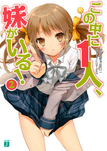 この中に1人、妹がいる! (2) 電子書籍版