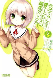 お兄ちゃんだけど愛さえあれば関係ないよねっ (3) 電子書籍版