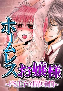 ホームレスお嬢様~ドS王子の宙吊り飼育~