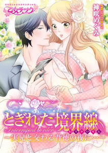 とぎれた境界線~実兄と交わる背徳の夜に…~