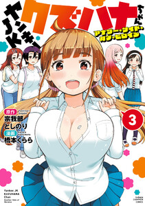 ヤンキーJKクズハナちゃん アナザー・サイド・オブ・ヒロイン (3)