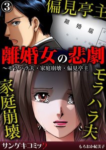離婚女の悲劇~モラハラ夫・家庭崩壊・偏見亭主