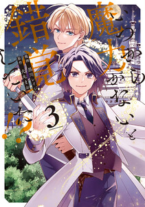 いつから魔力がないと錯覚していた!?3