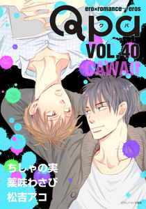 Qpa vol.40 カワイイ 電子書籍版