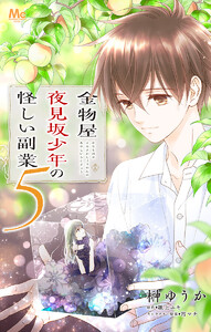 金物屋夜見坂少年の怪しい副業 (5) 電子書籍版