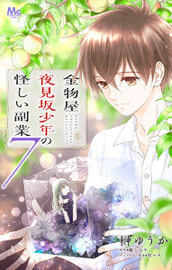金物屋夜見坂少年の怪しい副業 (7) 電子書籍版