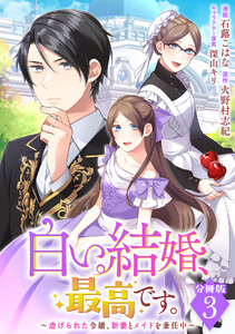 白い結婚、最高です。～虐げられた令嬢、新妻とメイドを兼任中～【分冊版】3 電子書籍版
