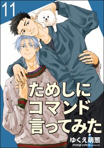 ためしにコマンド言ってみた(分冊版) 【第11話】 電子書籍版