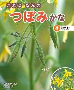 これはなんのつぼみかな (4)はたけ 電子書籍版