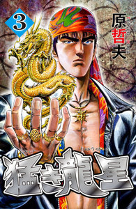 猛き龍星 (3) 電子書籍版