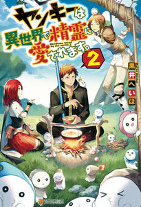 ヤンキーは異世界で精霊に愛されます。2 電子書籍版