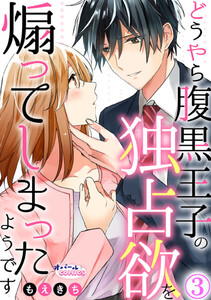 どうやら腹黒王子の独占欲を煽ってしまったようです3 電子書籍版