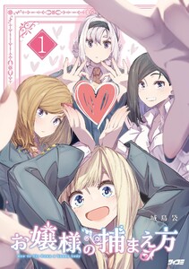 お嬢様の捕まえ方 (1)