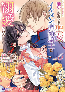 ヴェールの聖女 ～醜いと誤解された聖女、イケメン護衛騎士に溺愛される～(コミック) : 6