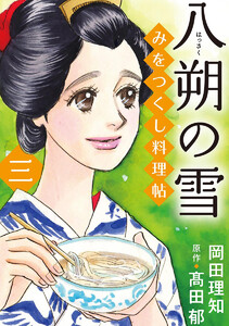 みをつくし料理帖 3 八朔の雪 電子書籍版