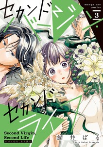セカンドバージン・セカンドライフ～バツのち、セフ活～ (3)