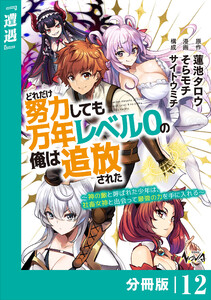 どれだけ努力しても万年レベル0の俺は追放された～神の敵と呼ばれた少年は、社畜女神と出会って最強の力を手に入れる～【分冊版】(ノヴァコミックス)12 電子書籍版