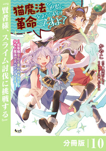 猫魔法が世界に革命を起こすそうですよ?【分冊版】(ノヴァコミックス)10 電子書籍版