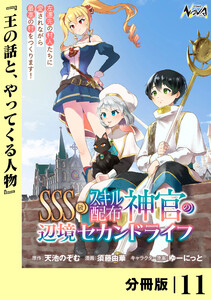 SSS級スキル配布神官の辺境セカンドライフ【分冊版】(ノヴァコミックス)11 電子書籍版