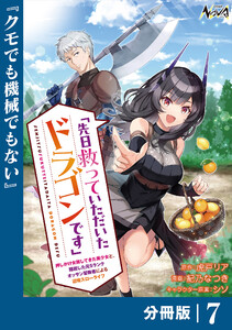 先日救っていただいたドラゴンです【分冊版】(ノヴァコミックス)7 電子書籍版