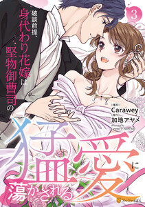 破談前提、身代わり花嫁は堅物御曹司の猛愛に蕩かされる3