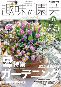 NHK 趣味の園芸 2026年11月号