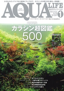アクアライフ 2026年1月号 電子書籍版