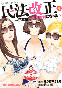民法改正～日本は一夫多妻制になった～ (4) 電子書籍版