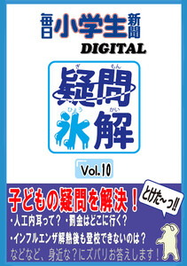 疑問氷解VOL10 電子書籍版