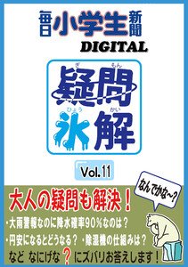 疑問氷解VOL11 電子書籍版