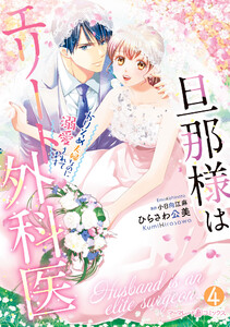 旦那様はエリート外科医～かりそめ夫婦なのに溺愛されてます～ 4 電子書籍版