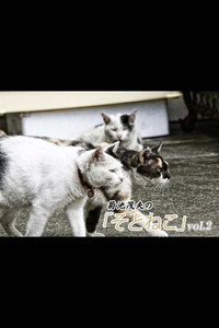 菊池茂夫の「そとねこ」vol.2 電子書籍版