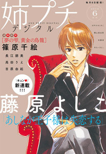 姉系Petit Comic
