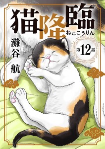 猫降臨【単話】 (12)